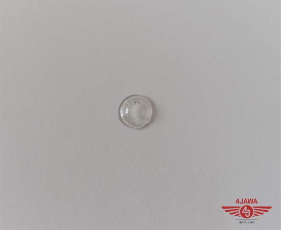 P1017151.JPG