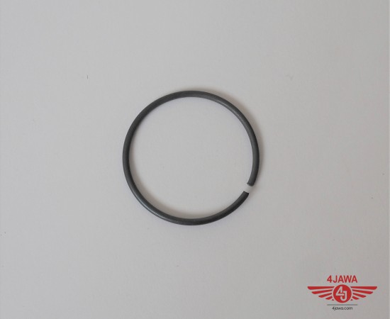 P1017880.JPG