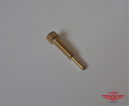 P1017886.JPG
