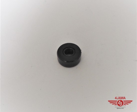 P1018447.JPG
