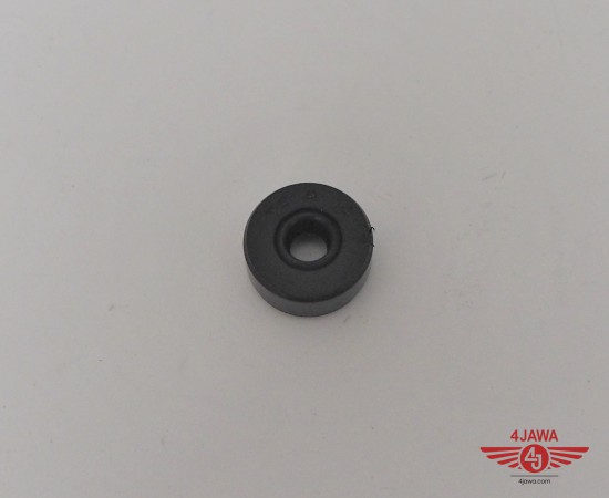 P1018445.JPG