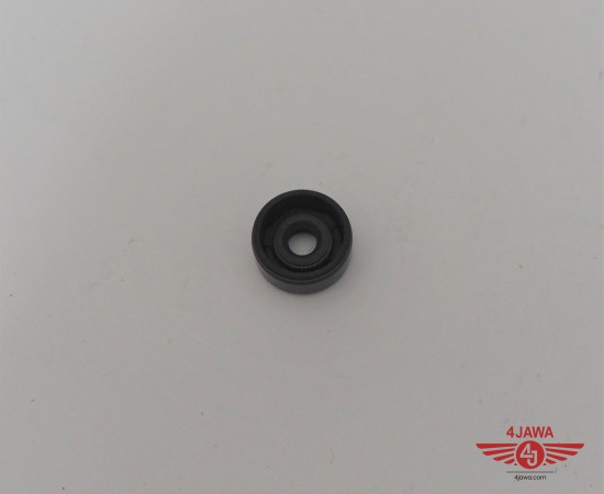 P1018449.JPG