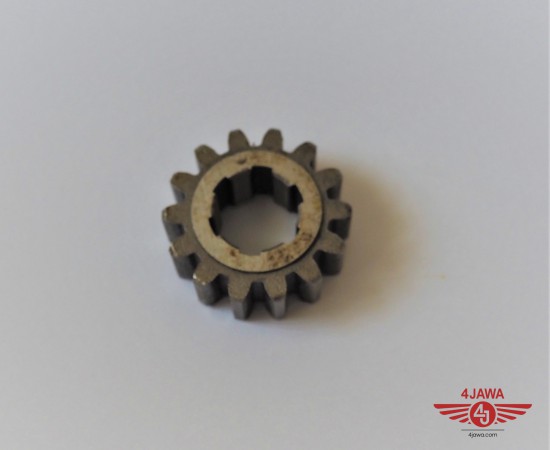 P1018243.JPG