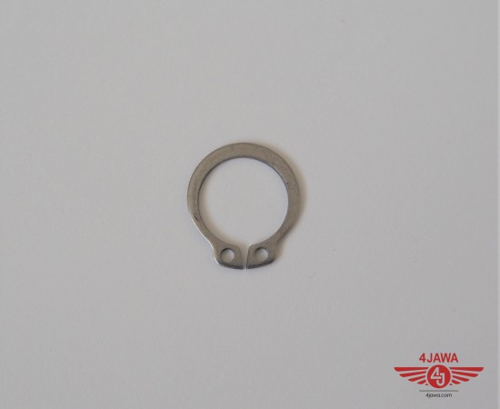 P1018478.JPG