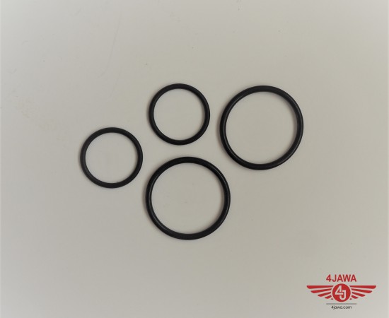 P1010250.JPG
