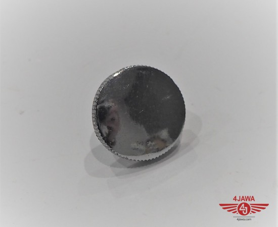 P1012530.JPG