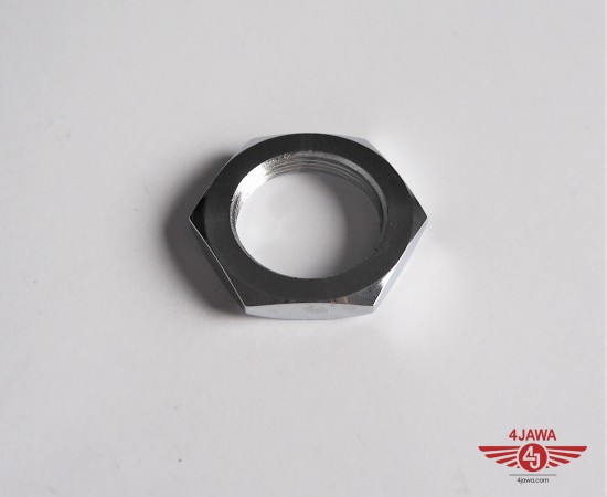 P1011531.JPG
