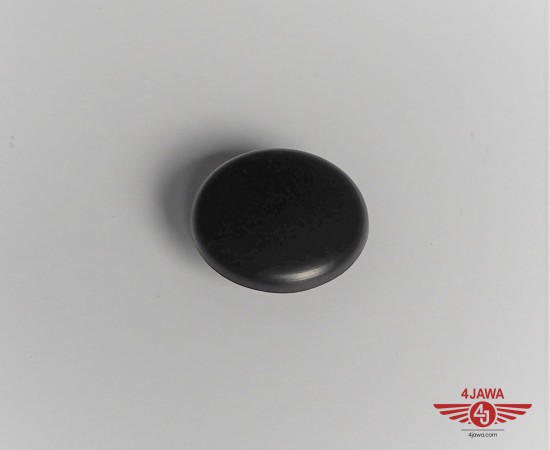 P1012177.JPG