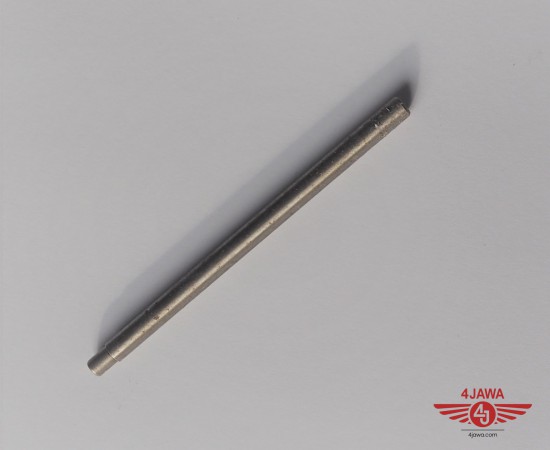 P1012206.JPG