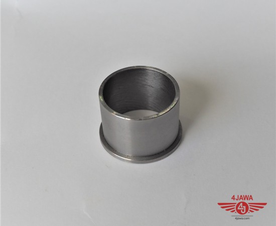 P1018617.JPG