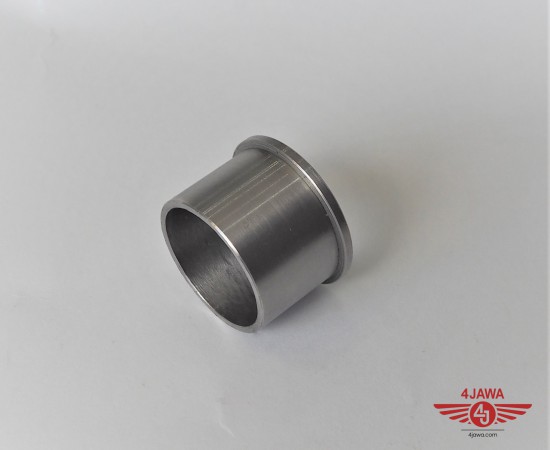 P1018615.JPG