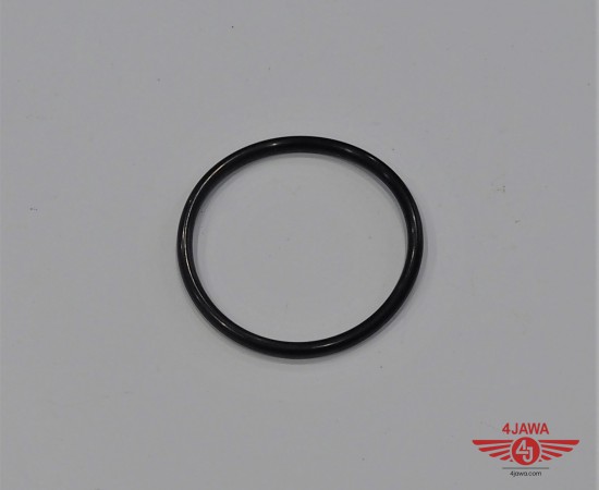 P1014107.JPG