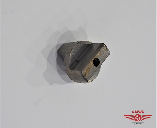 P1013867.JPG