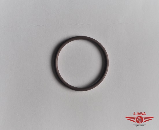 P1017572.JPG
