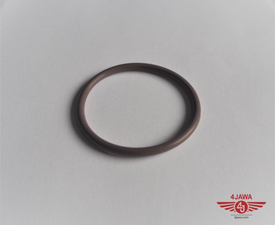 P1017574.JPG