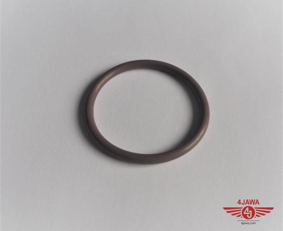 P1017581.JPG