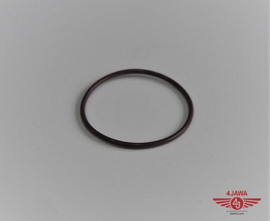 P1011596.JPG