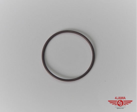 P1011592.JPG