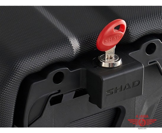 shad3.jpg