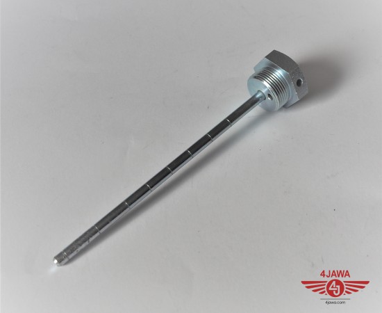 P1018667.JPG