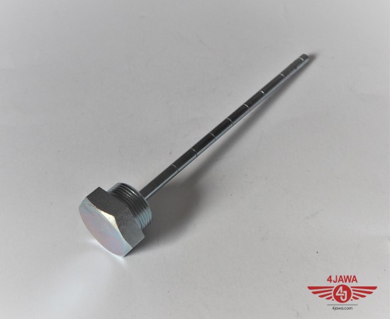 P1018666.JPG