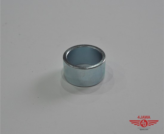 P1017183.JPG