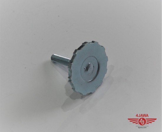 P1017179.JPG