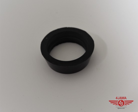 P1017498.JPG