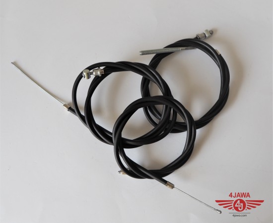 P1016604.JPG