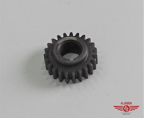 P1016131.JPG
