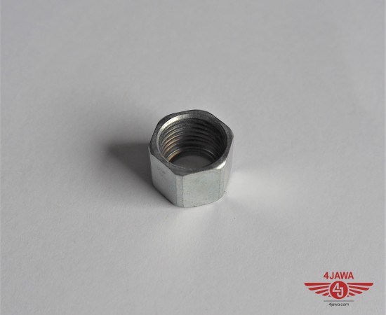 P1016913.JPG