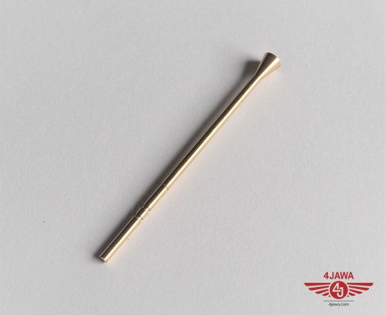 P1016825.JPG