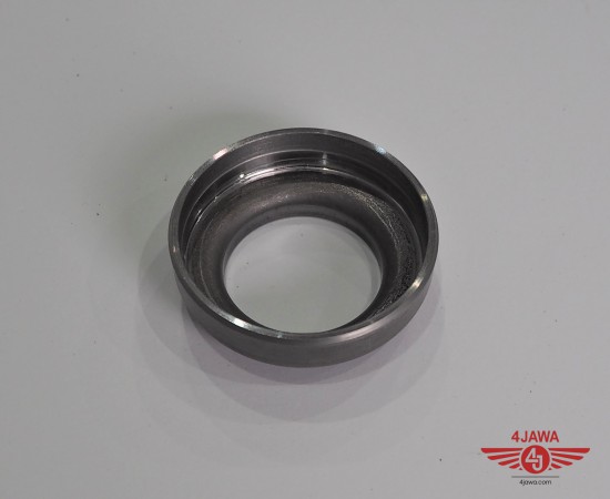 P1017316.JPG