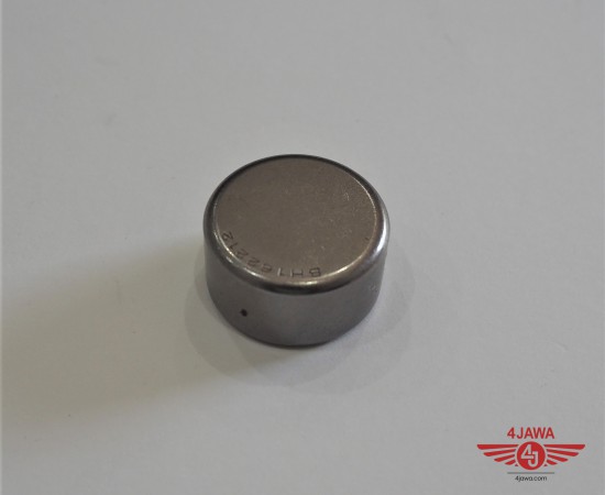 P1018169.JPG