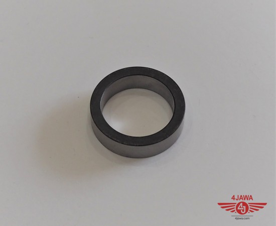 P1018343.JPG