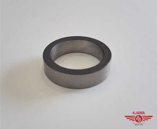 P1018342.JPG