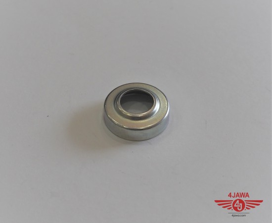 P1018336.JPG