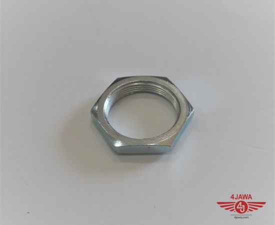 P1018215.JPG