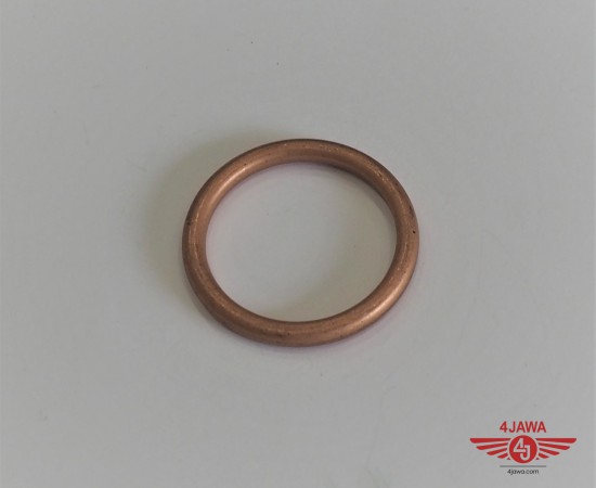 P1018583.JPG