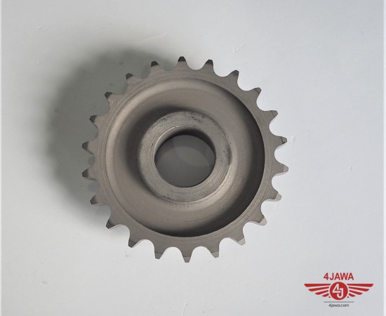 P1018631.JPG