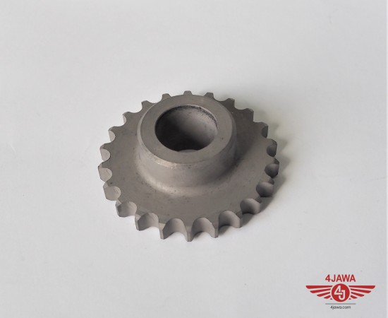 P1018627.JPG