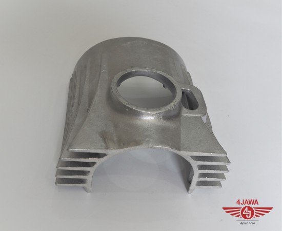P1018695.JPG