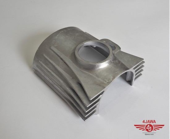 P1018694.JPG