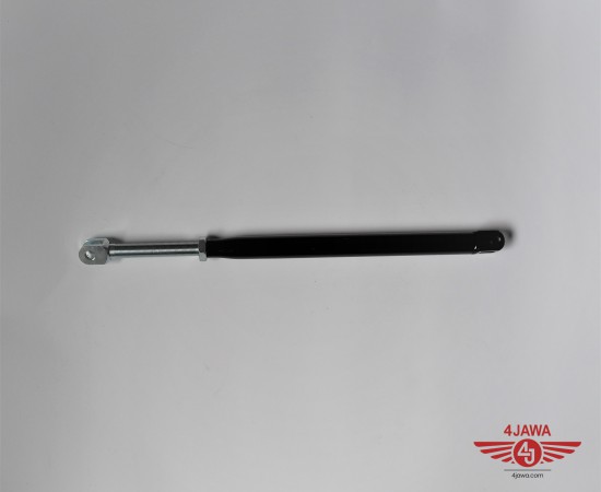 P1018935.JPG