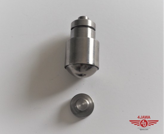 P1018879.JPG