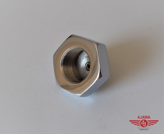 P1010310.JPG