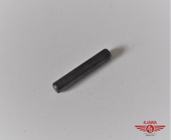 P1011641.JPG