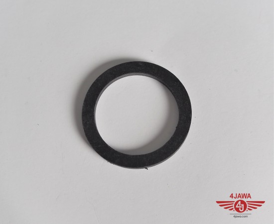 P1011883.JPG