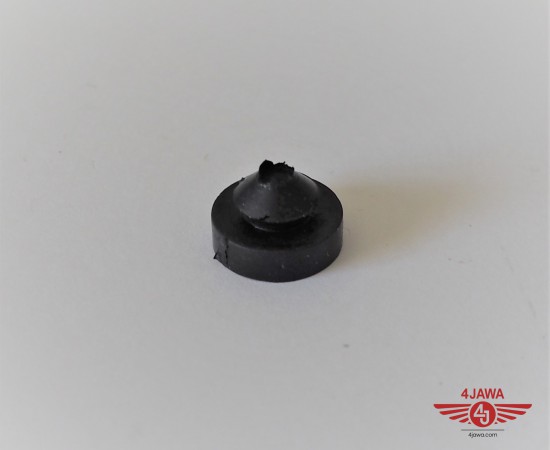 P1012421.JPG