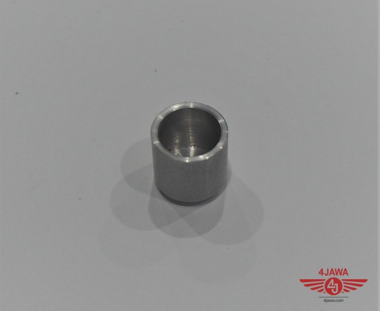 P1013793.JPG